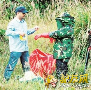 驴友.jpg